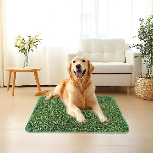 Foto 7 de 8 de yolzhxe 2 Pza Inodoro para Perros, 58×46 CM Césped Artificial para Perros