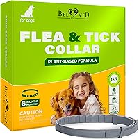 BelovedPets Natural Flea & Tick Collar for Dogs - 6 Months Waterproof Essential Oil Protection, Vet Approved