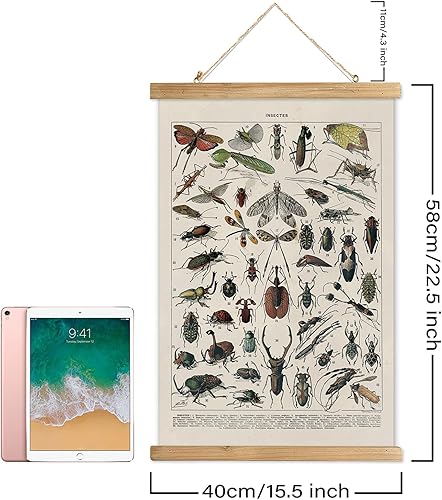 Miniatura 133 de XIAOAIKA Póster de botánica vintage con marco de madera, tabla de plantas venenosas antiguas, arte educativo botánico con especies peligrosas, 1