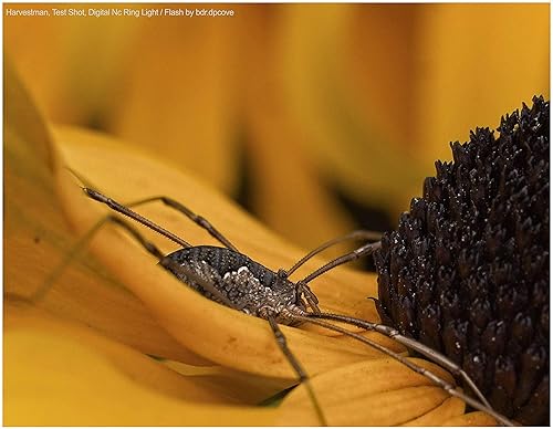 Miniatura 6 de Anillo de luz LED macro dual compatible con Nikon COOLPIX P900 y P950