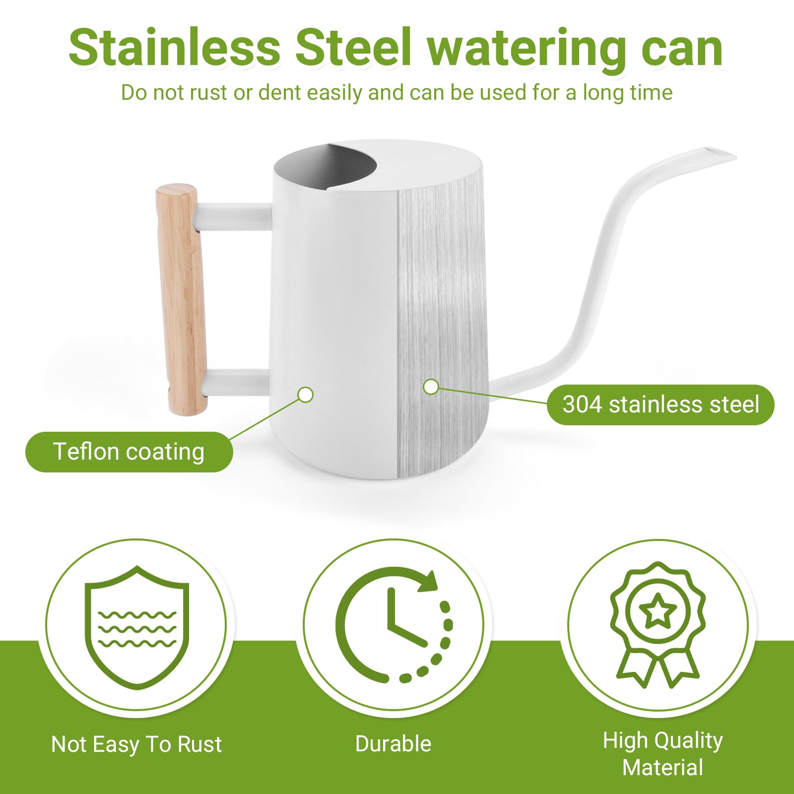 Arrosoir en Acier Inoxydable 1L,Petit Arrosoir pour Plantes D'intérieur avec Outils de Jardinage en Pot,Long Bec,Arrosoir Plante Interieur pour Plantes D'intérieur et Plantes Succulentes