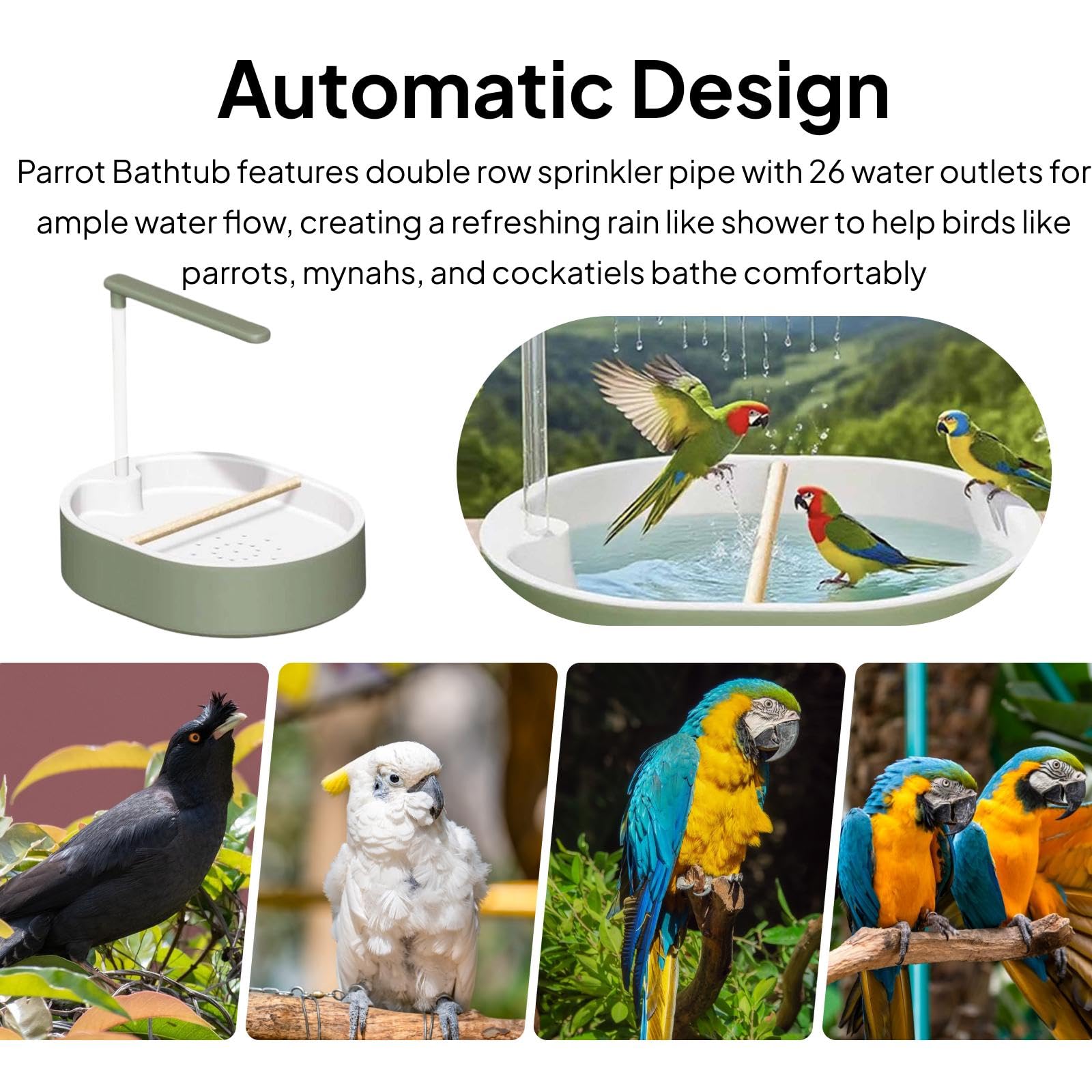 F Fityle Baignoire Automatique Compacte pour Oiseaux, Douche pour Perruches Calopsittes, Inséparables et Autres Oiseaux.