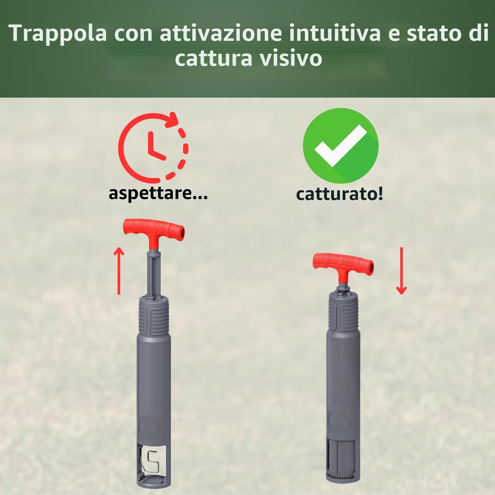 Trappola per arvicole V1, atossica e riutilizzabile, efficace trappola in plastica per arvicole, topi da cesoia in giardino, trappola per arvicole, trappola per mouse, Vole Trap (set completo