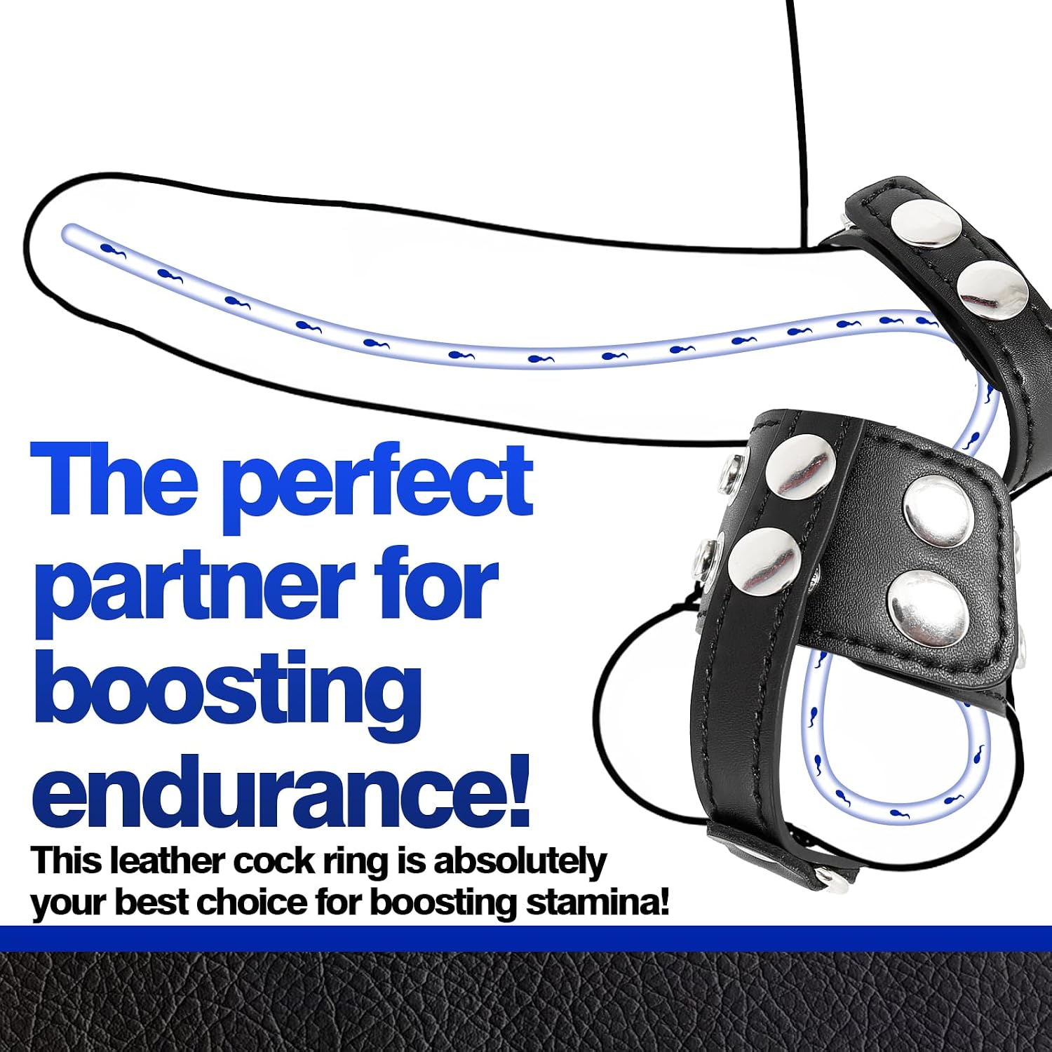 Adjustable Leather Cock Ring Testicle Toys Male Chastity Strap BDSM Toys | Adjustable leather chastity cock cage. Provides a secure fit for testicle restraint BDSM CBT. Easy to put on and take off.