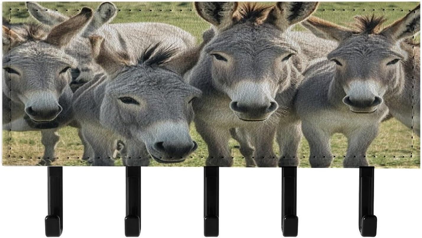 Key Holder Wall Mount Key Hanger with 5 Hooks, Decorative Key Rack | Donkey Animals Hanging Key Hooks with Mail Organizer for Wall Living Room Kitchen Bathroom Hallway