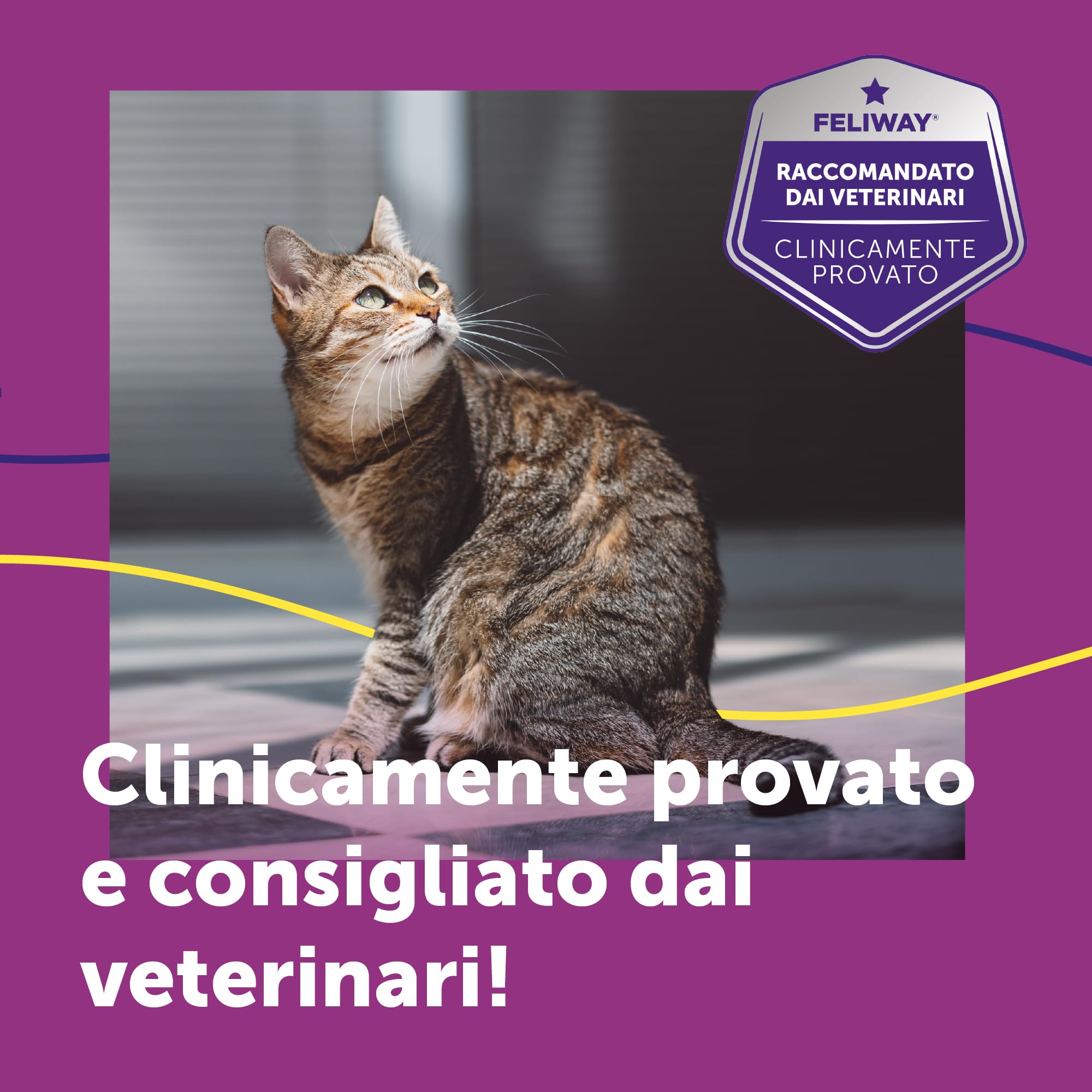 FELIWAY Help! Kit Diffusore Calmante per Gatti – 7 Giorni – Aiuta a tranquillizzare il tuo gatto ogni giorno o in occasioni stressanti. Raccomandato dai veterinari, Clinicamente testato.