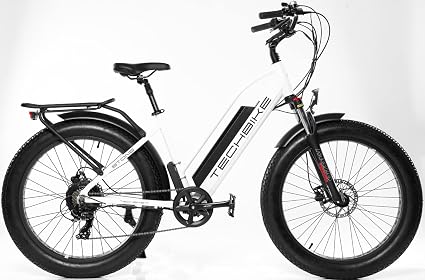 BICI 26 FAT BIKE ELETTRICA E-BIKE TECHBIKE STONE MOTORE 250W BATTERIA  SAMSUNG 48V 18Ah (BIANCO) : Amazon.it: Sport e tempo libero