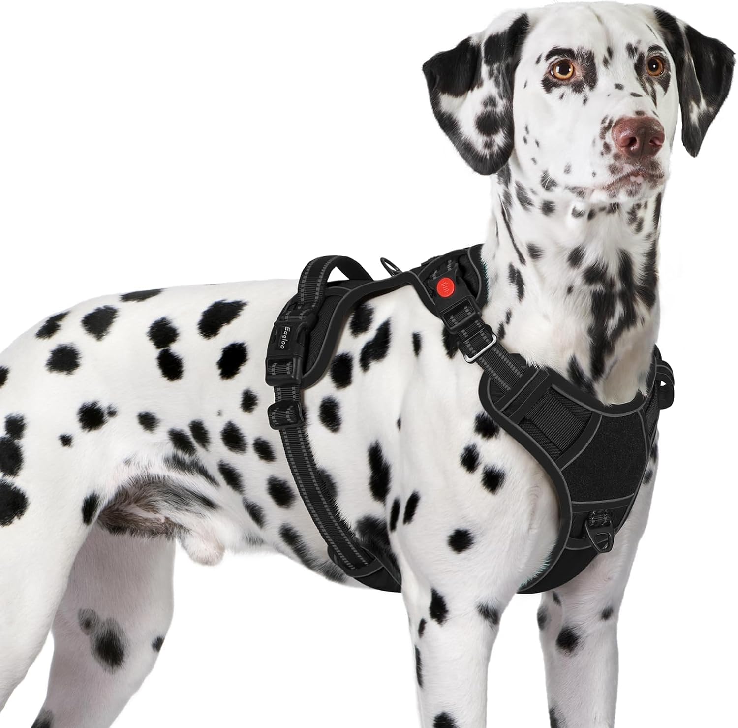 Eagloo Dog Harness for Large Dogs, Easy Wearing with 3 Quick-Release Buckles, Adjustable No Pull Pet Harness with MOLLE System, No Choke Reflective Vest with Control Handle, Black, XL