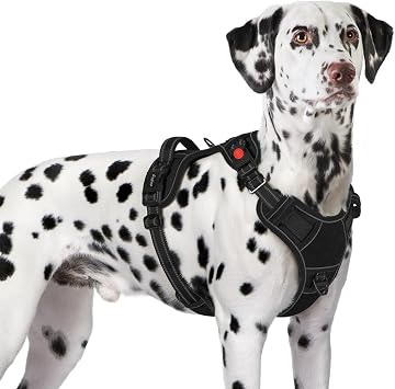 Eagloo Dog Harness No Pull for Large Dogs, Easy On & Off with 3 Buckles