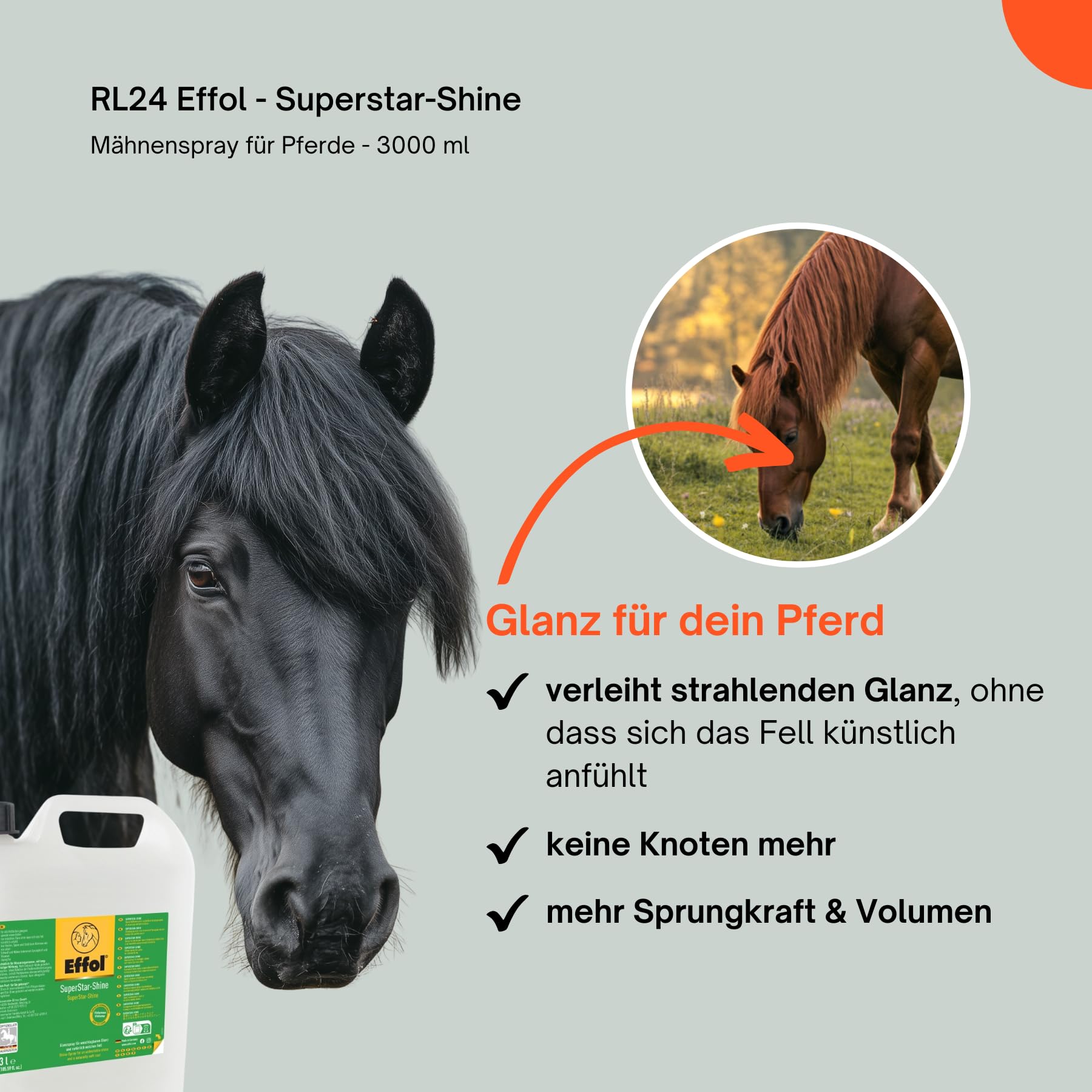 RL24 - Superstar-Shine Mähnenspray für Pferde – 1 x 3000 ml