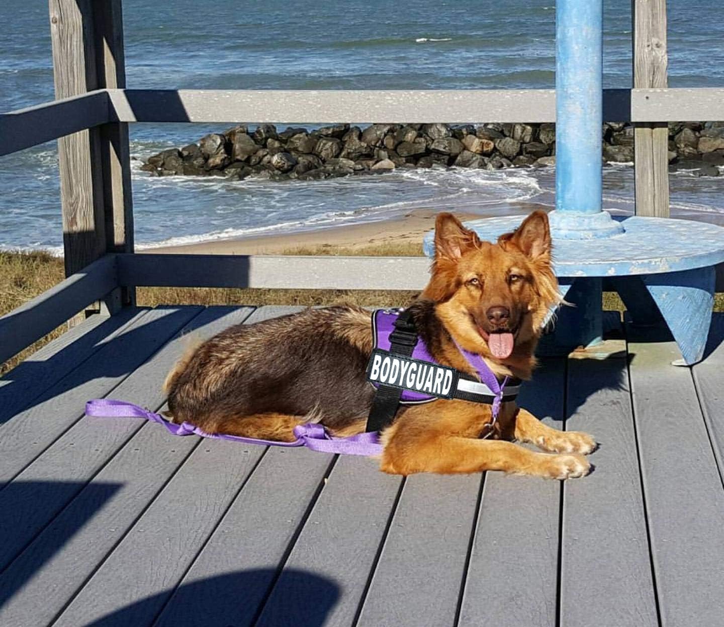 Doggie Stylz Body Guard Service Dog Vest Harness with Removable Patches. Purchase Comes with 2 Body Guard Reflective Removable Patches. Please Measure Your Dog Before Ordering.
