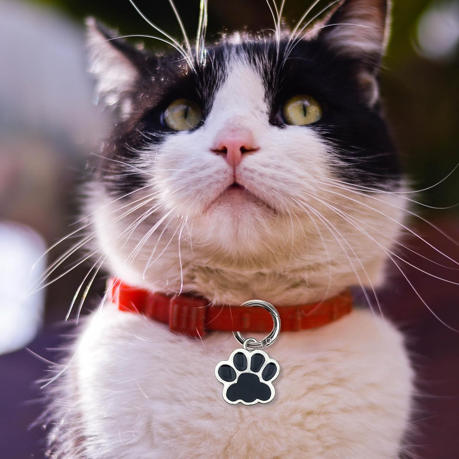 50 Pcs Colorful Circle Carabiner Ring, 1 Inch Metal Spring O Rings for Keychains, Small Round Carabiner Clip for Keyrings Snap Hook Buckle, Bags, Purses, Handbag - Image 7