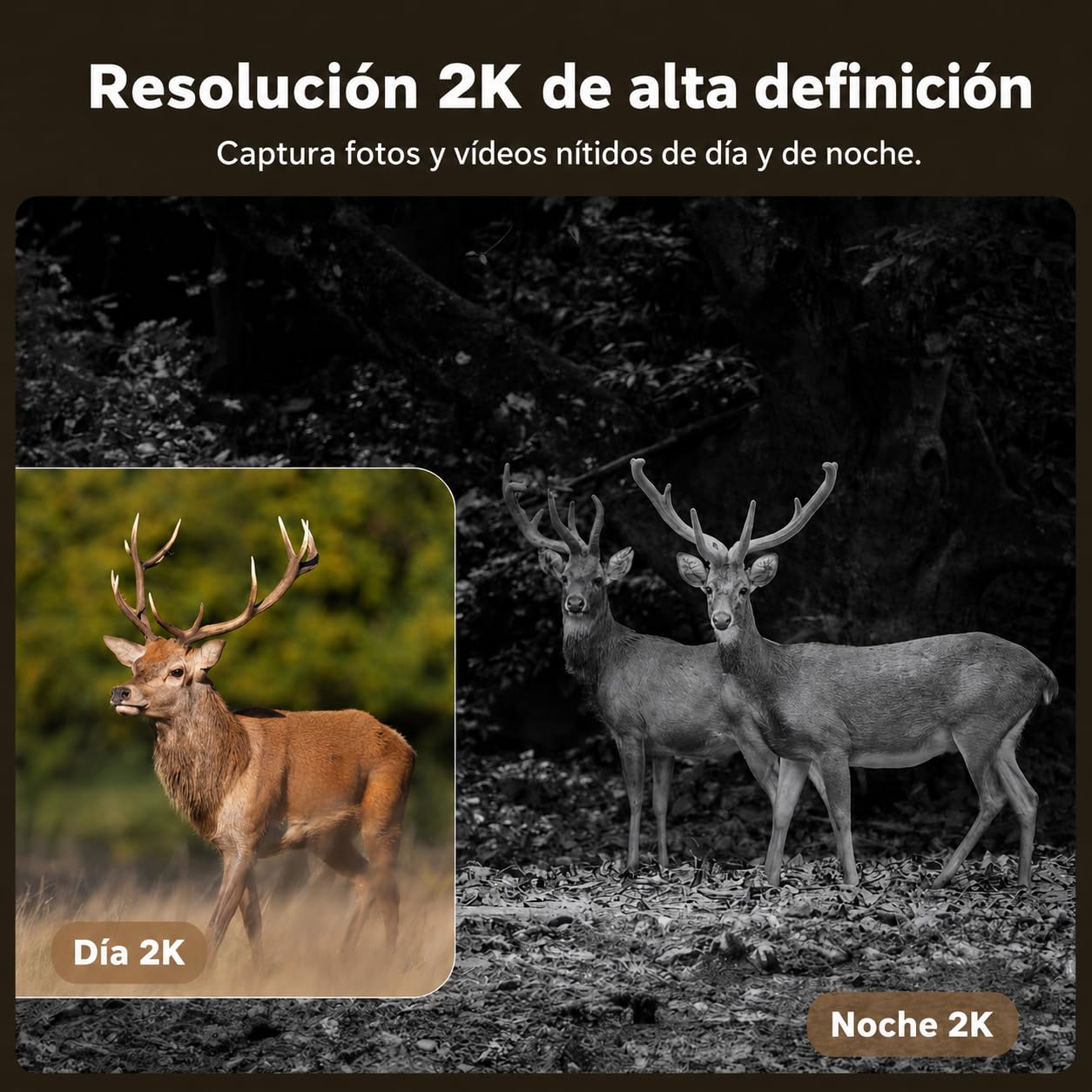 4G LTE Cámara de Caza Solar con Tarjeta SIM, Cámara Fototrampeo sin WiFi, 10400 mAh Batería, Visión Nocturna 950nm Infrarrojos Invisible, Audio de 2 vías, 0,2s Activación, IP66 Impermeable