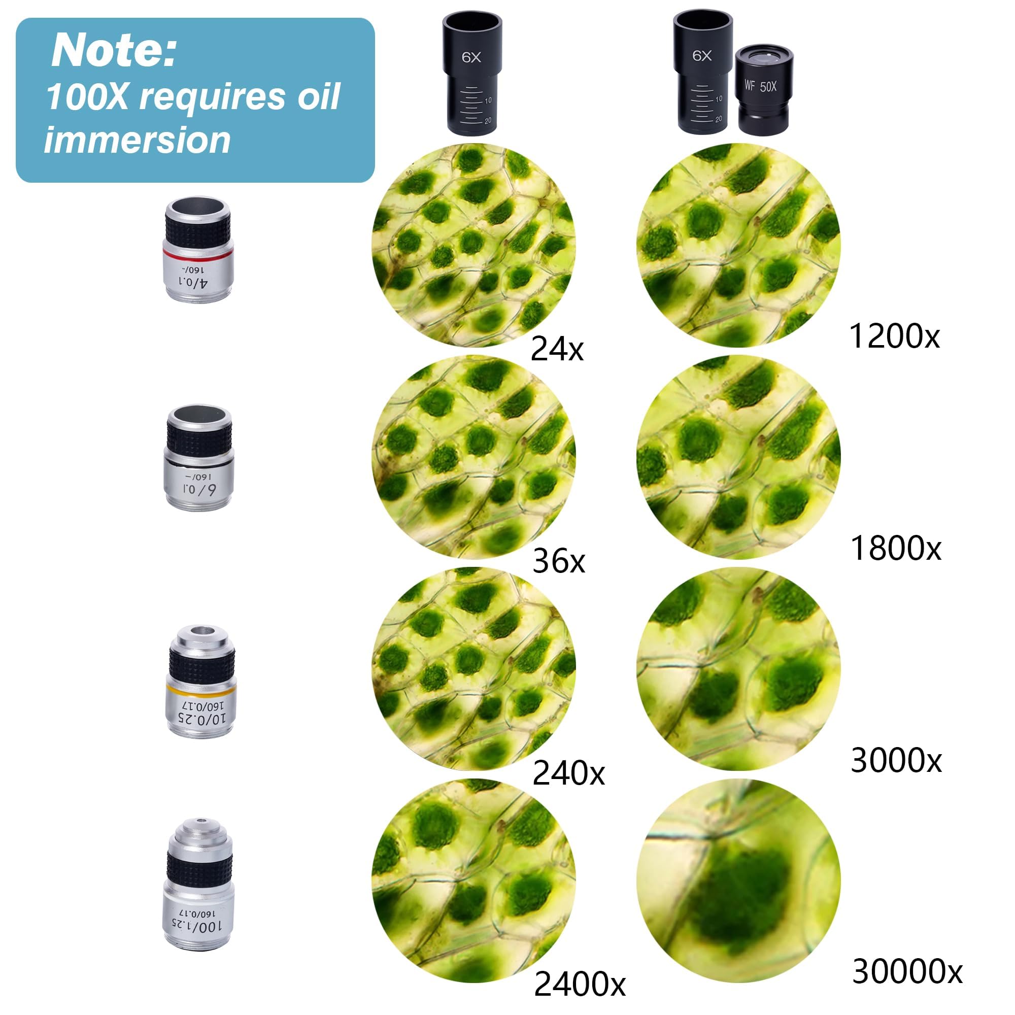 Microscopi binoculari, 200X-5.000X, composti biologici, con moltiplicatore 6x, oculari elettronici e adattatore per telefono, per studenti, adulti, principianti, regali didattici in laboratorio