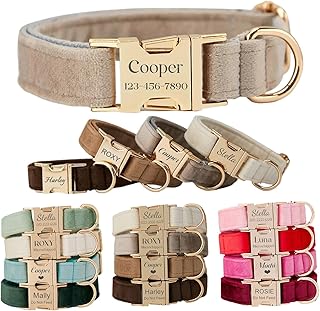 Personalisiertes Hundehalsband und Leine aus Samt mit Schleife – individuelles Haustierhalsband mit Namen – graviertes Namensschild & Metallschnalle – verstellbares Halsband für Welpen product image