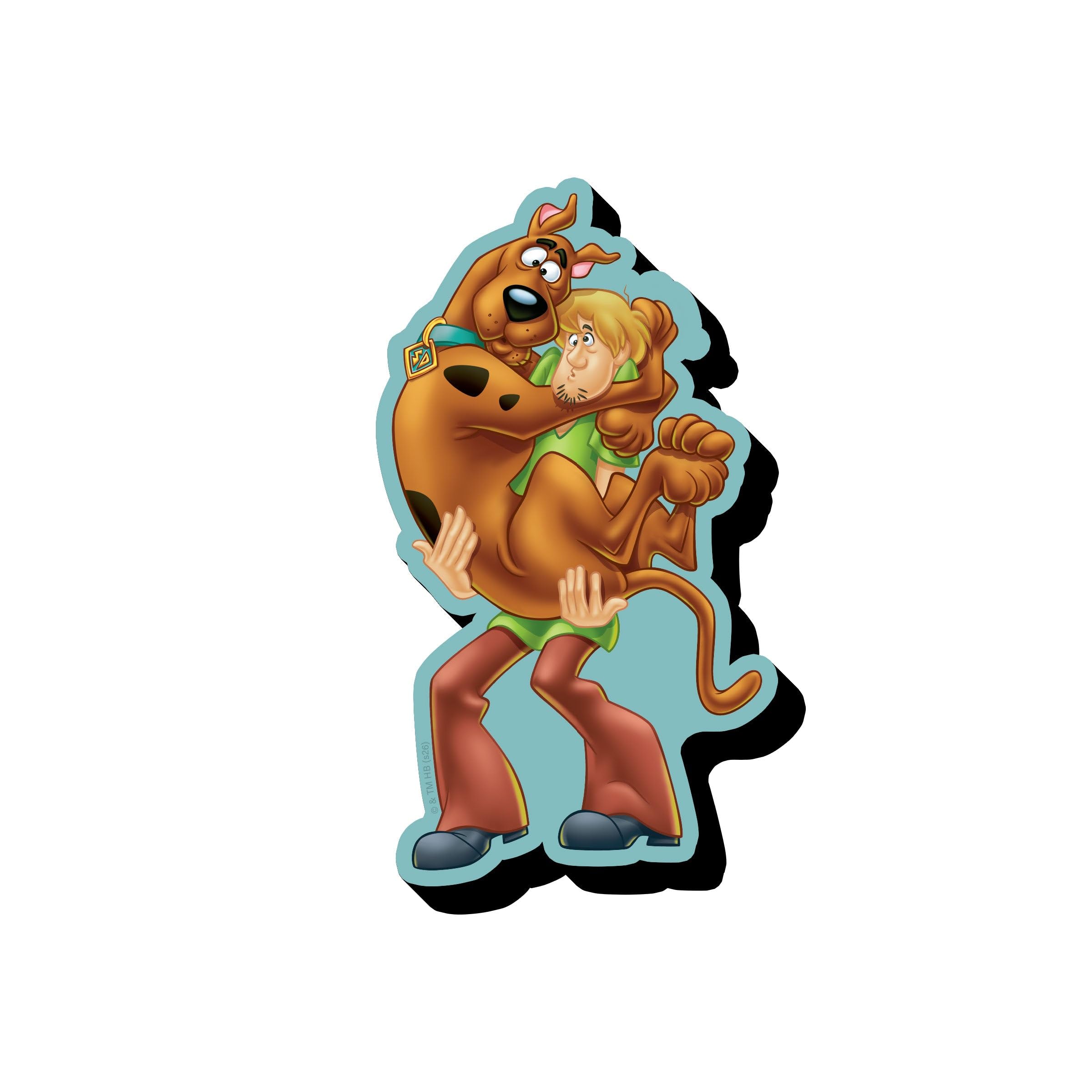 Scooby Doo Scooby & Shaggy Funky Chunky Magnet