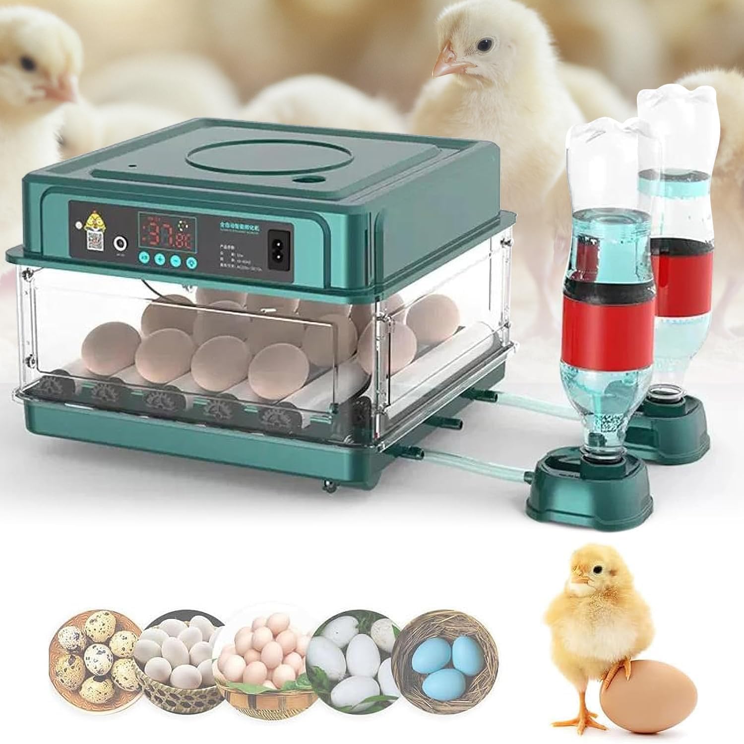 Incubadora Huevos Gallina, Incubadora Automática de 10/16/24/36 Huevos, Incubadora de Huevos con Control de Temperatura, Adición Automática de Agua, Volteador Automático de huevos (16 Huevos (B))