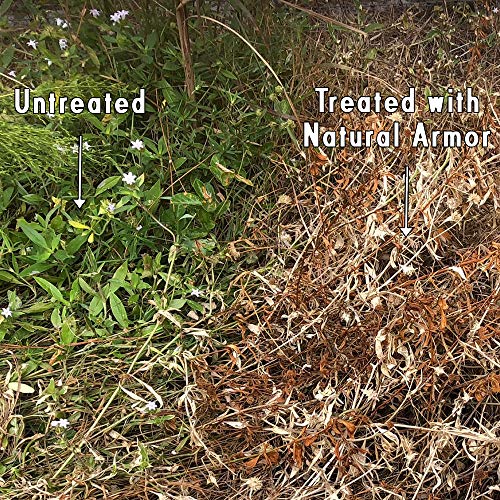 Natural Armor Weed and Grass Killer All-Natural Concentrated Formula. Contains No Glyphosate (320 OZ. 2.5 Gallon)
