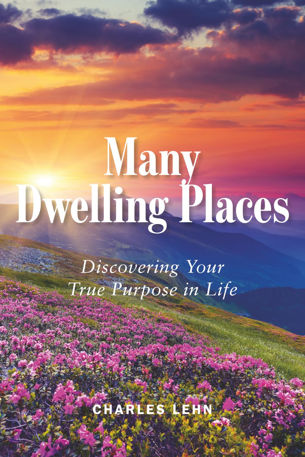 Many Dwelling Places: Discovering Your True Purpose in Life