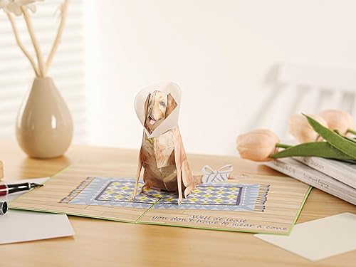 Miniatura 6 de Liif Tarjeta de felicitación 3D emergente de recuperación, tarjeta de recuperación pronto (perro de conejo)