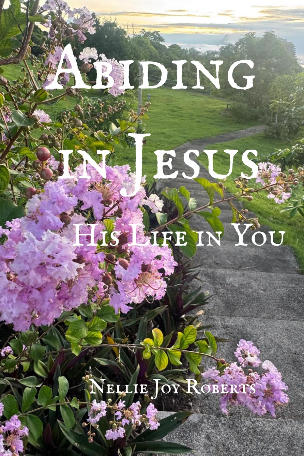 Abiding in Jesus: His Life in You
