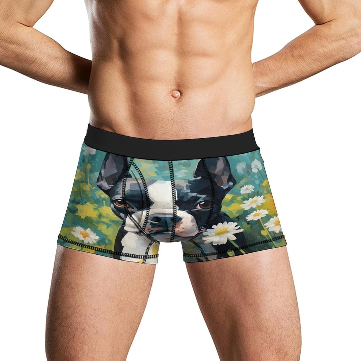 Cute Boston Terrier Dog Watercolor Mens Boxer Briefs Breathable Underwear Trunks Short Pants