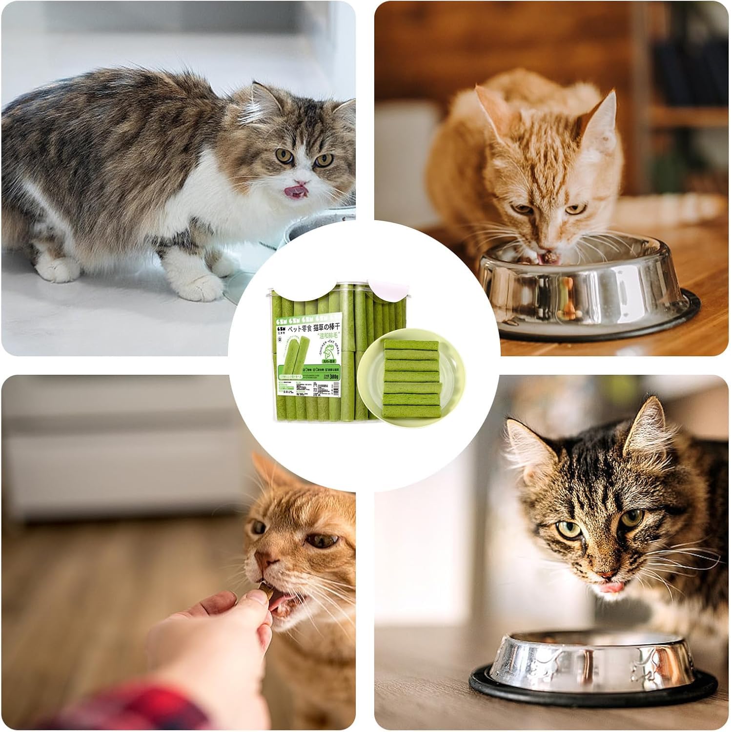 Katzengras-Beißring, Katzengras für Wohnungskatzen, Katzengras-Sticks, natürliche Zahnreinigung und Leckerlis für Wohnungskatzen und Kätzchen zur Appetitanregung und täglichen Zahnpflege (80Pcs)