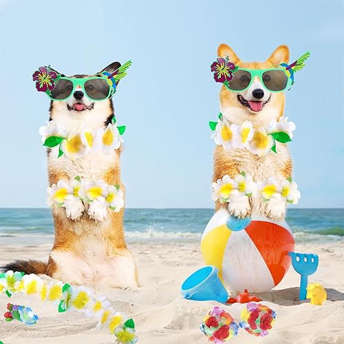 Miniatura 5 de PHOGARY Kit de disfraz de falda hula para fiesta tropical de Hawaii Luau, hula bailarín con parte superior de bikini de flores, 31.5 in