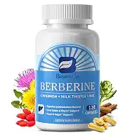 B BEWORTHS Berberine HCL Supplement - Berberine with Ceylon Cinnamon, NAC, Milk Thistle Metabolism & Liver Detox Support | Liposomal Berberine with Turmeric, Choline for Immunity, Gut Health - 120 Ct