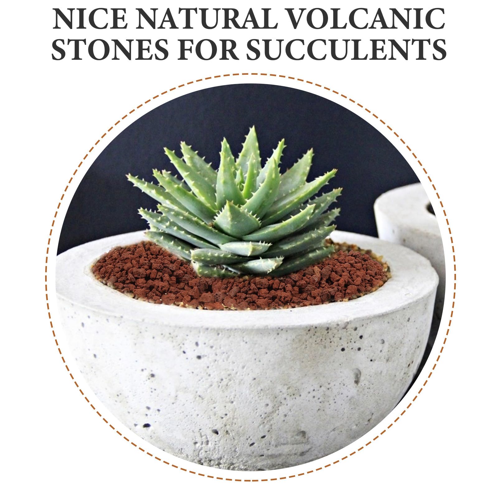 SUPVOX Piedras Volcánicas Naturales para Acuario y Macetas, (300g) Decorativas para Jardinería y Paisajismo, Grava Volcánica para Decoración de Peceras y Plantas