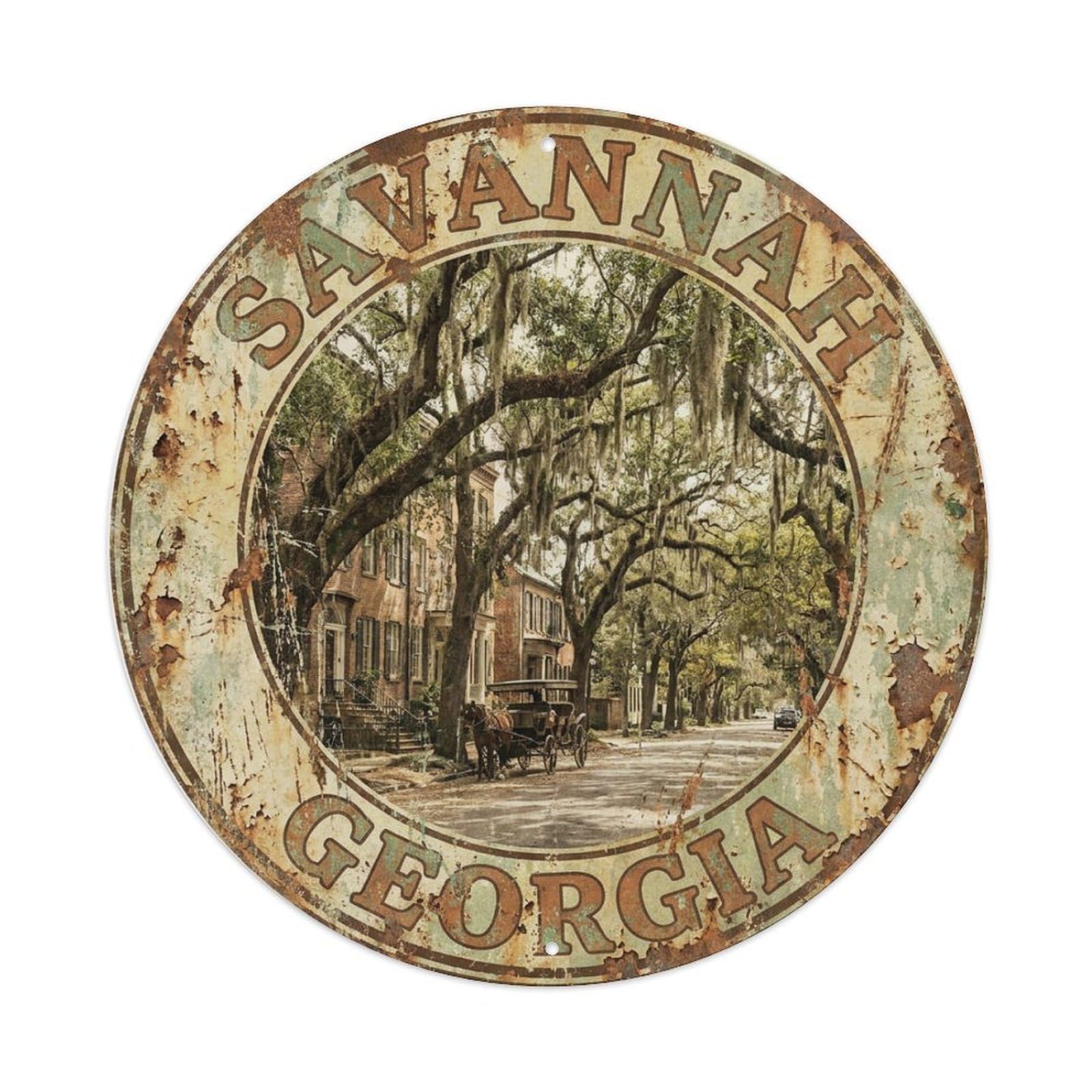 Tgrcjimh Style Metal Tin Sign Retro Travel Usa Savannah