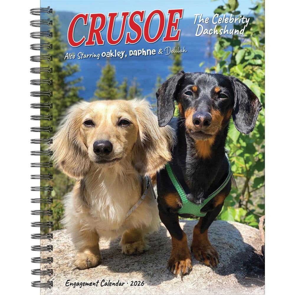 Crusoe the Celebrity Dachshund 2026 Engagement Calendar