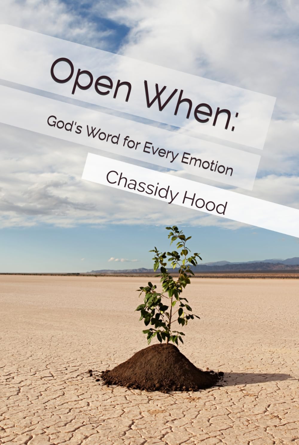 Open When: God's Word for Every Emotion