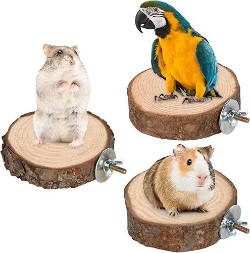 Miniatura 3 de 9 perchas de madera natural para pájaros, soporte de madera para loros, ramas, accesorios de plataforma para periquitos, cacatúas, conures,