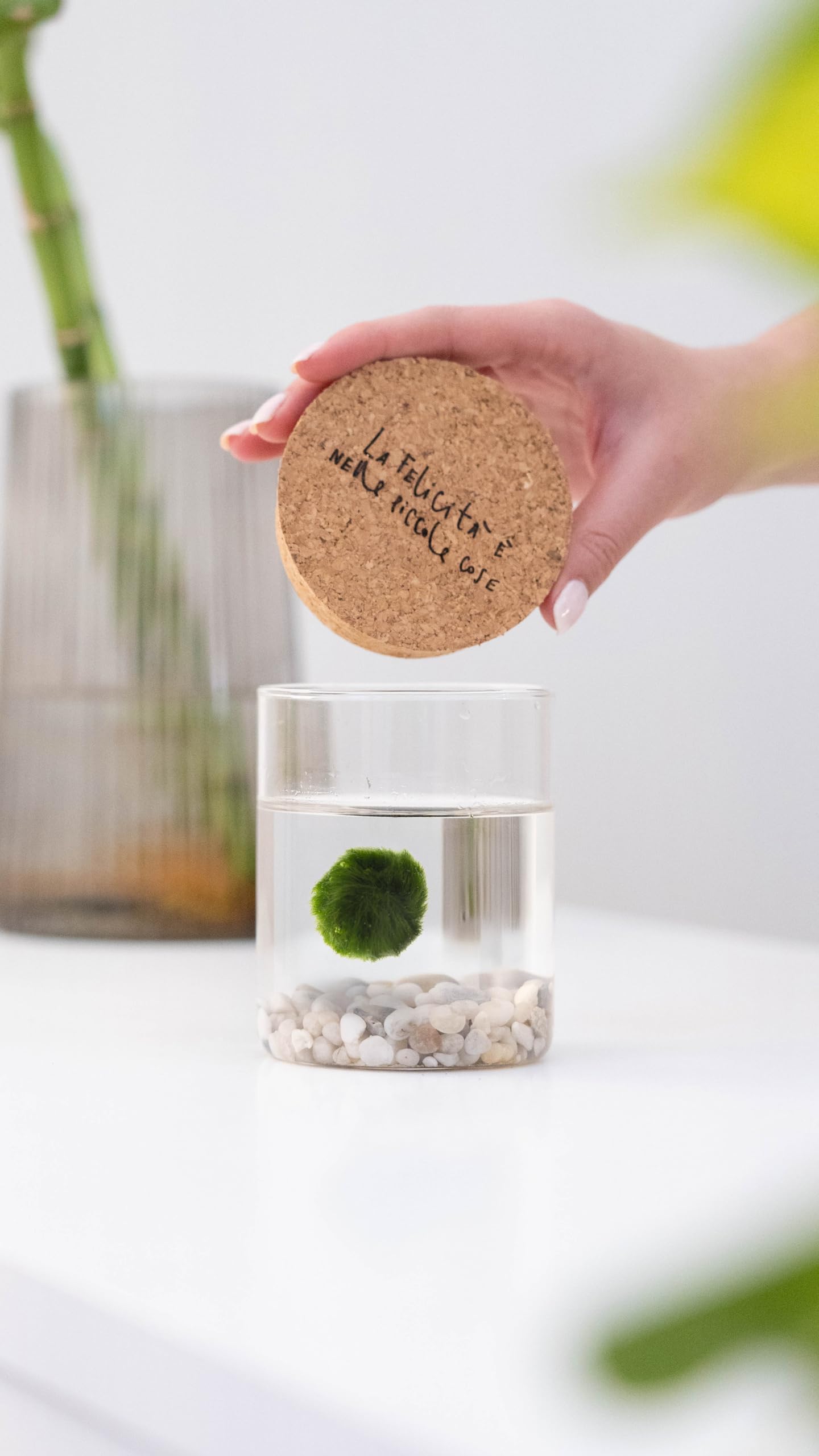 KAKI La Felicità è Nelle Piccole Cose Marimo Singolo Originale Vaso Vetro con Tappo Sughero Felicità, Artigianale, fondale Bianco, Diametro 8cm, Altezza 11cm, Made in Italy