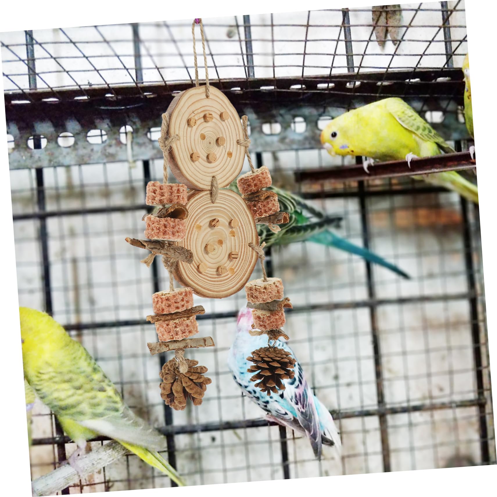 BESPORTBLE 5pièces Jouet Suspendu pour Oiseaux à Mordre Accessoire De Cage pour Perroquets Et Perruches Jouet Éducatif Matériau Naturel pour Et Amuser Vos Oiseaux