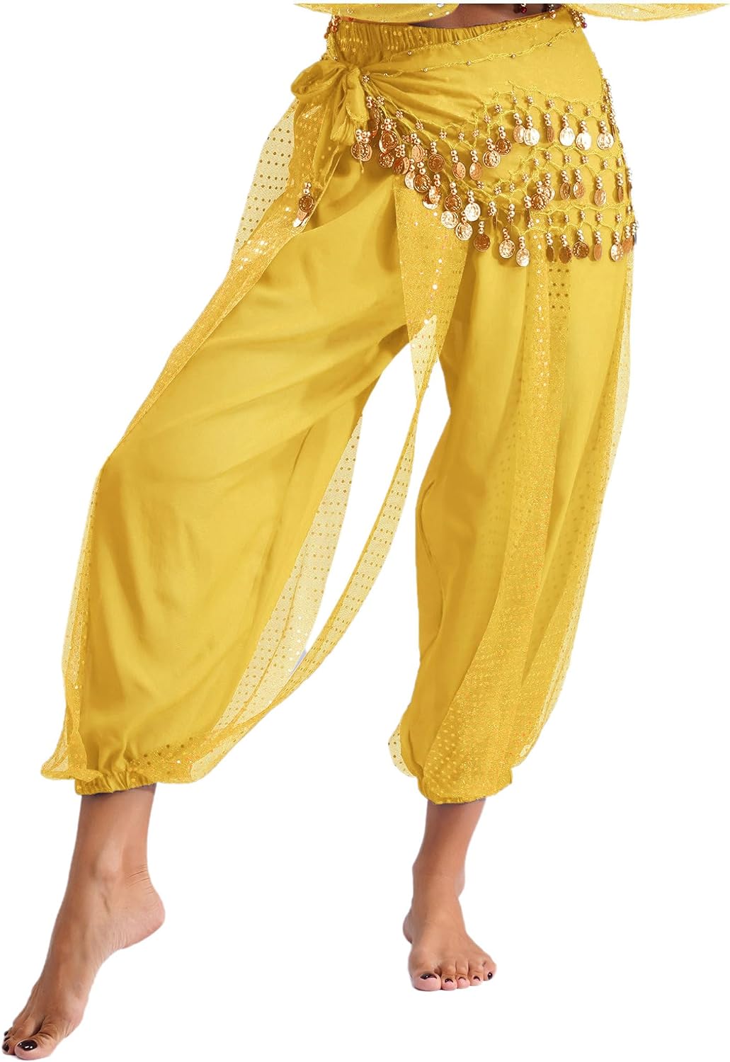 Hularka Women's Belly Dance Costume Harem Pants Elastic Waistband Bloomers with Sequin Hip Scarf