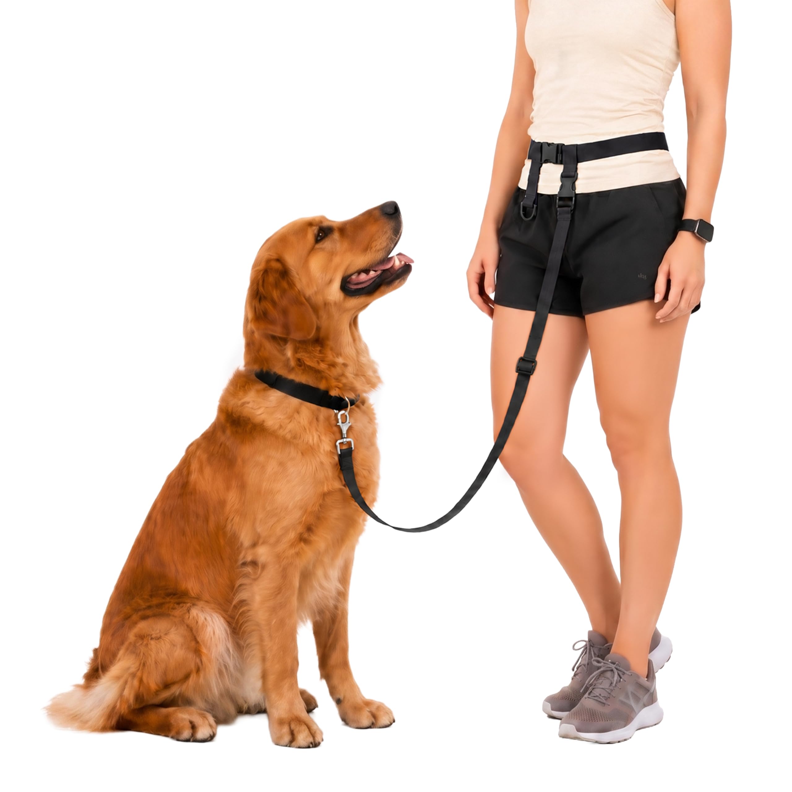 The Buddy System Wyprodukowano w USA regulowana smycz bez użycia rąk, idealna do biegania, regularnego systemu dla psów, XL, czarna od The Buddy System