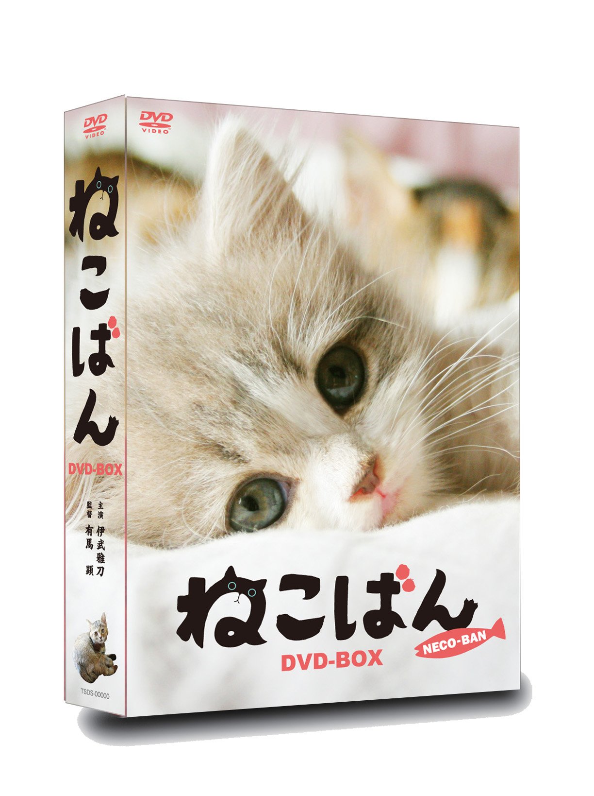 連続テレビドラマ ねこばん DVD-BOX〈4枚組〉＋映画 連続テレビドラマ ねこばん DVD-BOX〈4枚組〉＋映画 連続テレビ