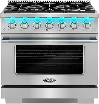 36 in. Vista Coll 5.4 cu ft 6 Burner Gas Range, Convection, Stainless Steel