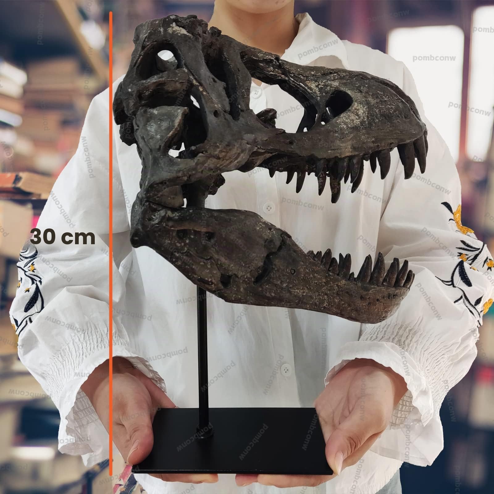 Scultura di Teschio di Dinosauro Tirannosauro Rex - Statua di Testa in Resina per Decorazione Soggiorno, Ufficio e Mensola a Muro - Stile Moderno