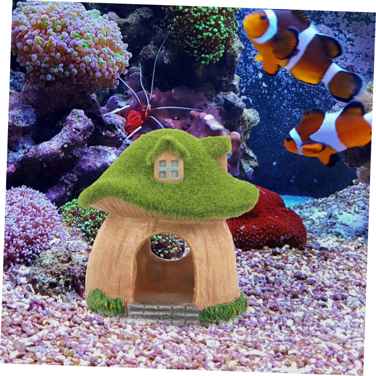 VANZACK 8piezas Casa De Hongos Acuáticos para Peces Refugio Decorativo De Acuario Ventanas Escondite Natural para Peceras Accesorios para Acuarios Peces y Crustáceos