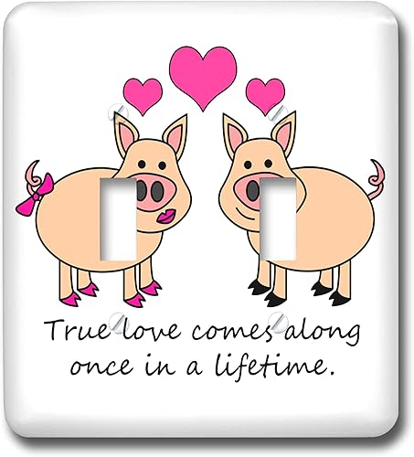 3dRose lsp_6292_2 True Comes Along Once in a Lifetime – Cute Pig Love Design Double Toggle Switch, Multicolor