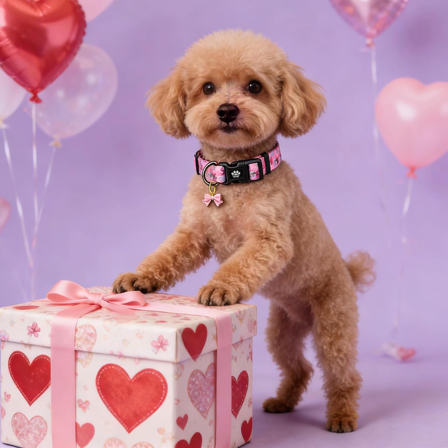 Pink Bow Dog Collar, Cute Spring Summer White Floral Checkered Grid Pet Collars for Puppy Small Medium Large Boy Girl Dogs-S