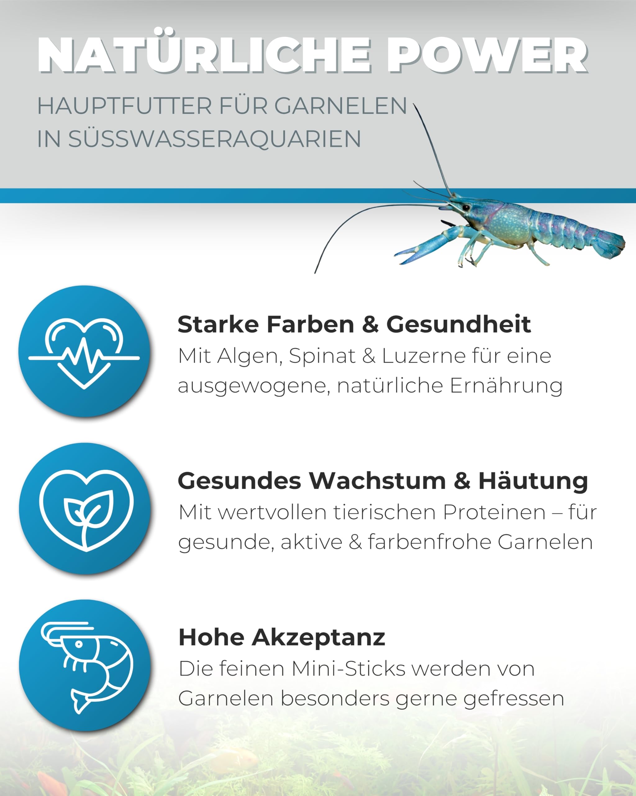 Dupla DuplaRin Shrimp Snack I 500 g I Mini-Sticks für Garnelen I Hauptfutter mit Algen, Spinat & Luzerne I Futter für Süßwassergarnelen I Unterstützt Häutung, Wachstum & Vitalität