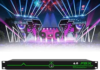 Professional Feedback Suppressor, Microphone Anti-Howling Feedback Frequency Shifter, Level 5 Digital Anti-squealing, for Show, Performance Stage Conference,Green-6in6out