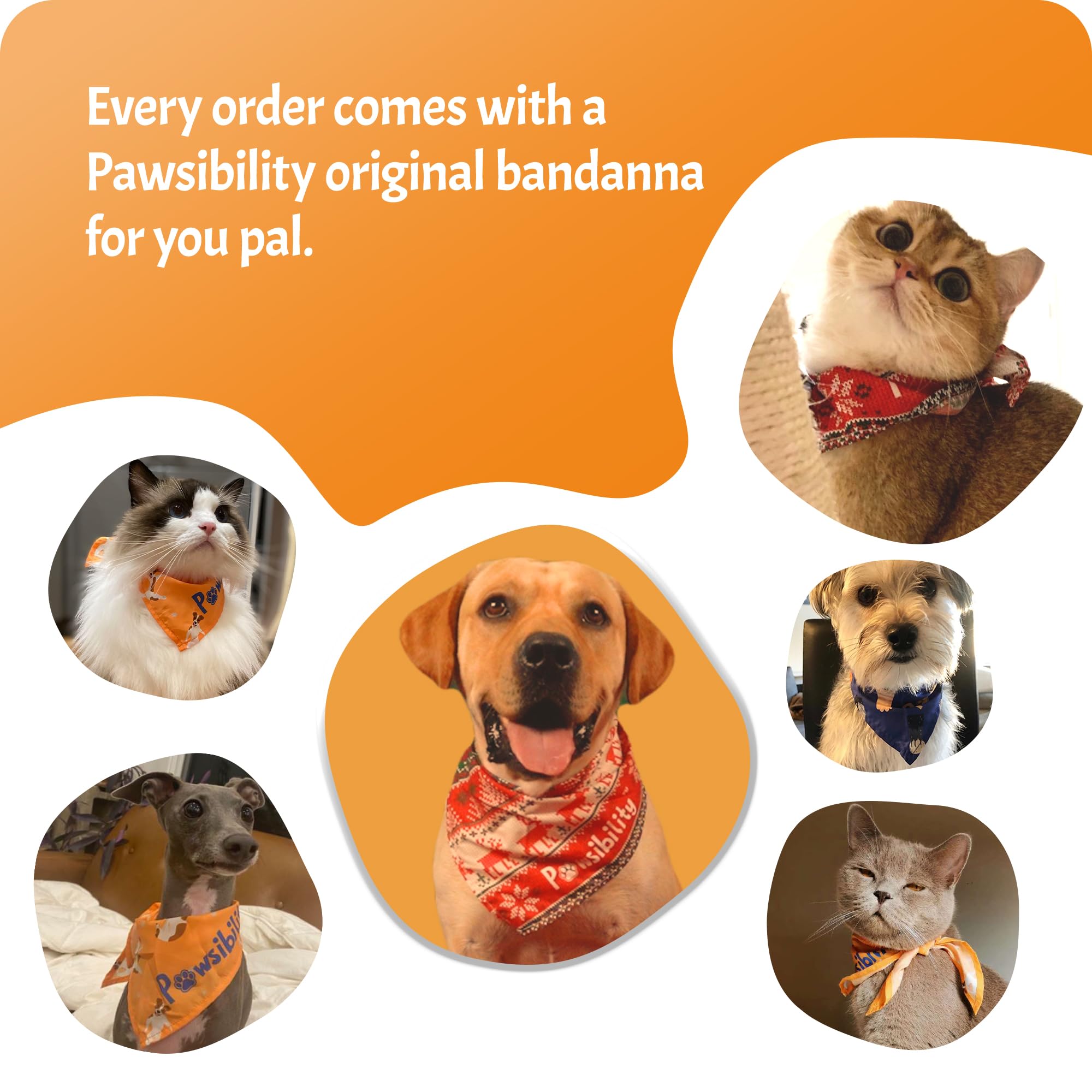 Pet Nail Clipper PRO 2026 -​​ ​​Quick-Vision LED Light | 2-Stage Adjustable Professional-Grade Blade | Adjustable Magnifier Safety Guard - for Cats, Small, Medium and Large Dogs - Brown - image 8