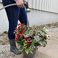 Vista 12 de Carrete de manguera retráctil de 50 pies