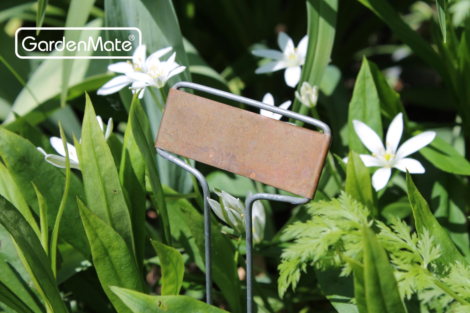 GardenMate® Set di 25 Banner Etichette per Piante in Acciaio zincato e Rame