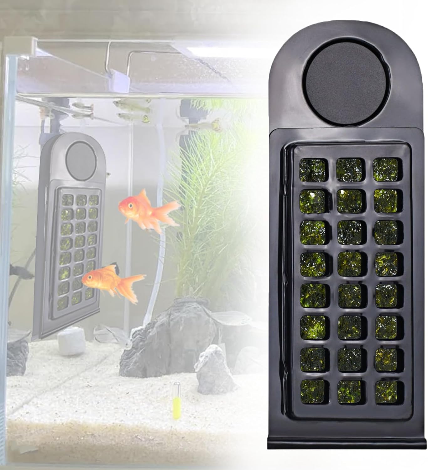 Magnetic Aquarium Seaweed Clip & Feeder - Floating Nori Holder for Tangs, Marine & Freshwater Fish (1 Pc)
